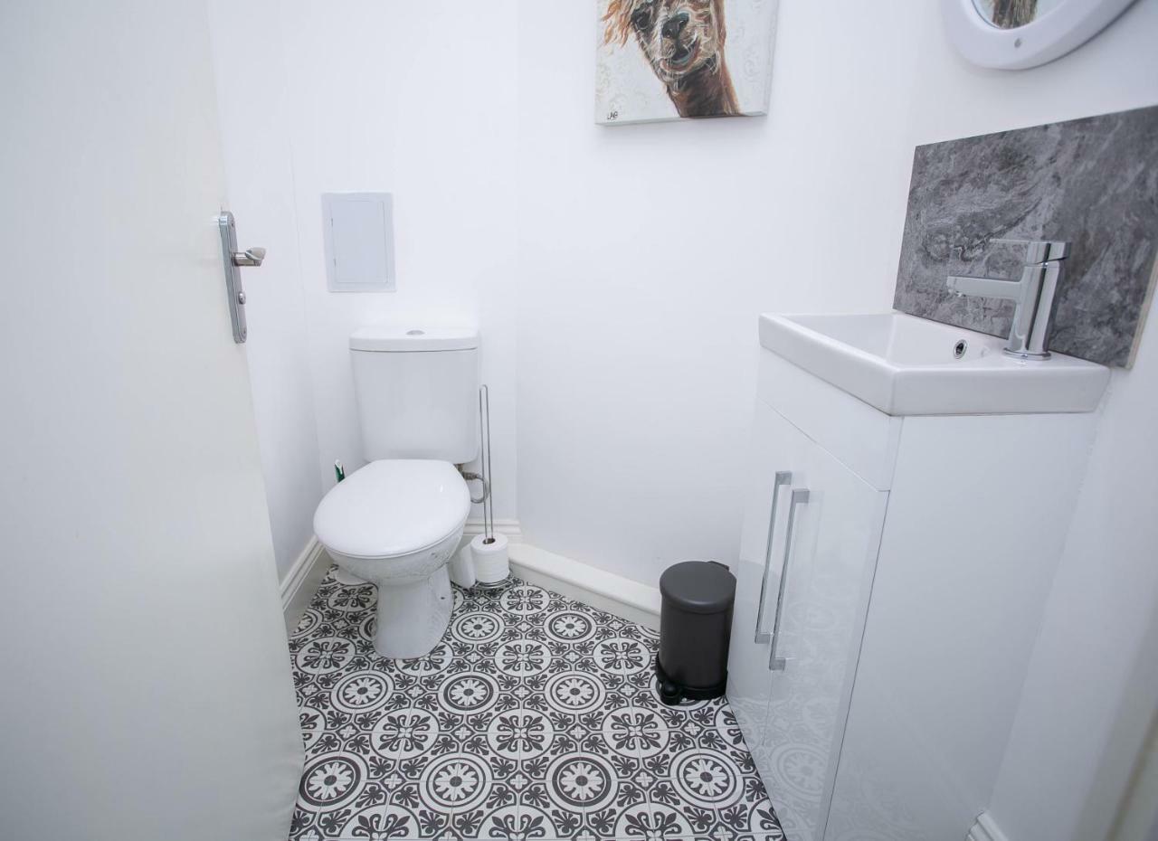 11 College Place North Belfast Bagian luar foto